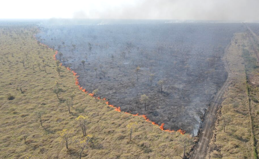 Ibama já embargou mais de 11 mil hectares em 1 ano no Pantanal de MS