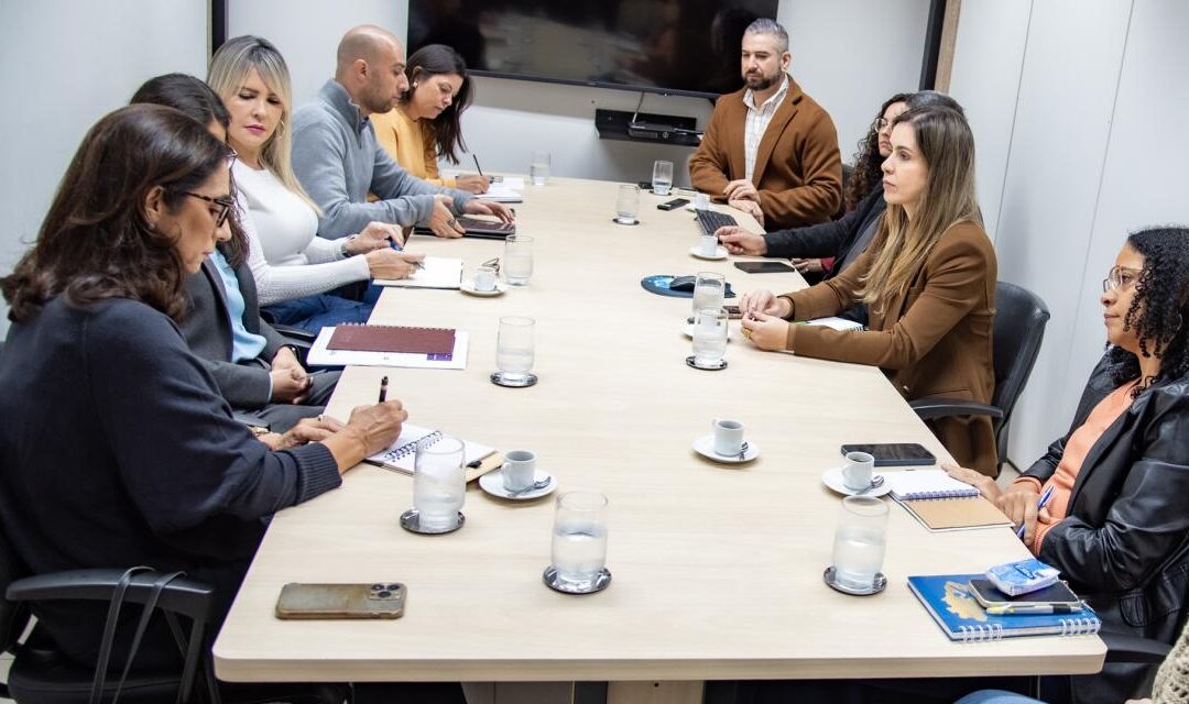 TCE-MS e CMB dialogam para que contratações públicas priorizem mulheres vítimas de violência