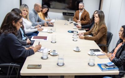 TCE-MS e CMB dialogam para que contratações públicas priorizem mulheres vítimas de violência