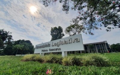 Julho Âmbar: Mês dedicado a dar visibilidade e apoio ao luto parental