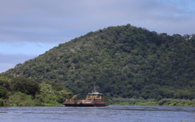Rio Paraguai apresenta melhora em 2025, mas ainda não alcança níveis de 2023