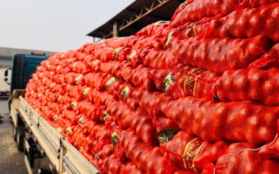 Aumento na oferta barateia cebola e pimentão verde, mas frio eleva preço das frutas