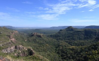 Imasul assina escritura destinada à regularização fundiária do Parque das Nascentes do Rio Taquari
