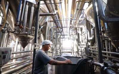 Mato Grosso do Sul empregou 3.087 trabalhadores formais em maio e no ano já supera 20,8 mil novas vagas