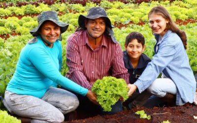 Novo recorde nas vendas da agricultura familiar é projetado após movimentação de R$ 5,1 milhões em MS