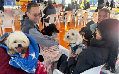 Em Três Lagoas, Caravana da Castração inicia segunda etapa com formação técnica para municípios