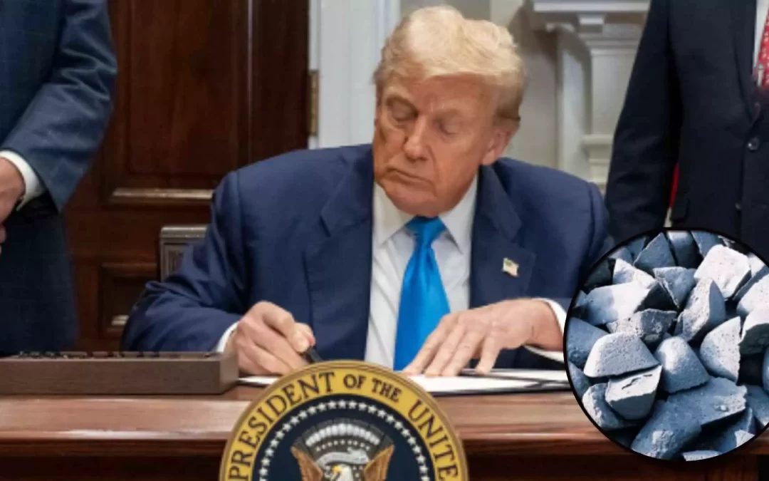 Dois dos três produtos mais exportados por MS aos EUA escapam do tarifaço de Trump