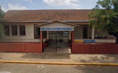Adolescente invade escola, ataca professores e alunos e mata criança com facão