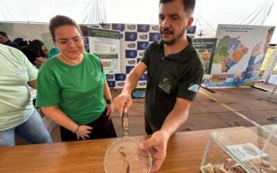 Com período de maior atividade dos escorpiões, SES de MS monitora avanço dos acidentes e reforça atendimento