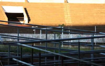 Estudo propõe reabertura parcial do Estádio Morenão com capacidade limitada