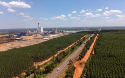 Comissão especial de licitação define recurso sobre Rota da Celulose e dá prazo a convocação