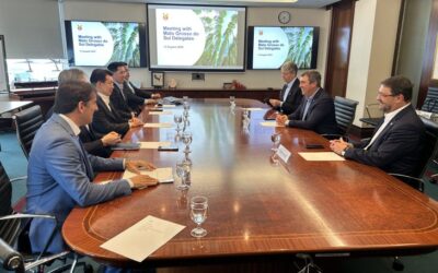 Singapura mira tilápia de Mato Grosso do Sul em meio à sobretaxa dos EUA