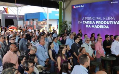 De estratégia a realidade: simplificação e visão de futuro ajudaram MS a consolidar Vale da Celulose