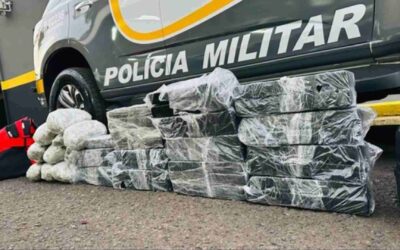 Adolescente de MS é apreendido levando maconha e skunk para SP