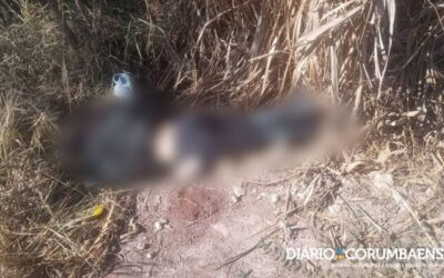 Mulher é encontrada morta em matagal sinais de facada e saco nas pernas