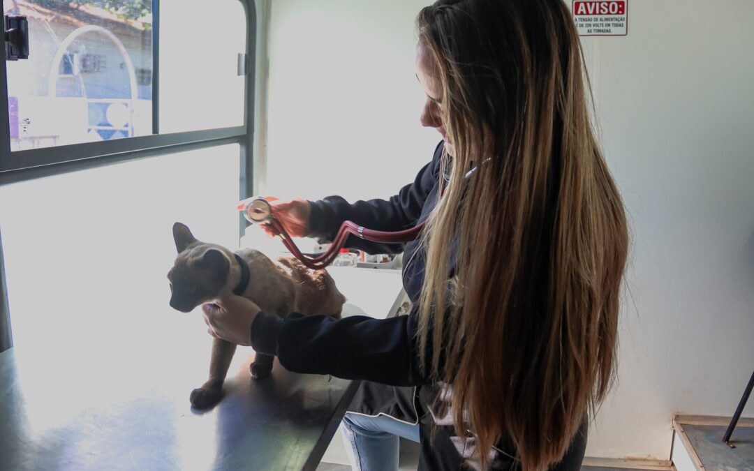 Prefeitura anuncia bairros que receberão atendimento veterinário em setembro