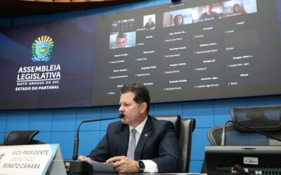 Às vésperas da COP15, MS escolhe a juruva como ave símbolo da Mata Atlântica