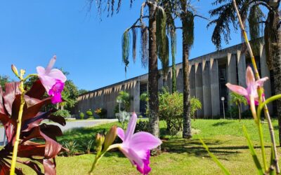 7ª Conferência Estadual dos Direitos Humanos é destaque da semana