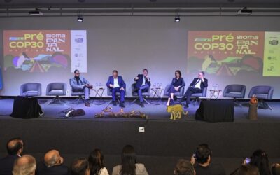 Para preservação do Pantanal, MS e MT se unem e apontam prioridades na Pré-COP30