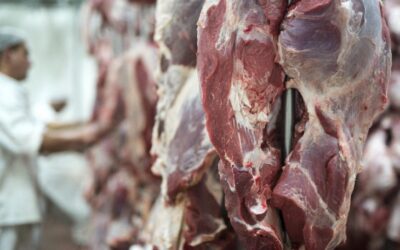 Exportações de MS somam US$ 7,24 bilhões até agosto e carne bovina cresce 43,7% no acumulado do ano