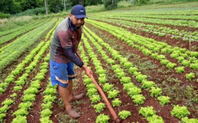 Prefeitura formaliza adesão de agricultores ao Programa de Aquisição de Alimentos