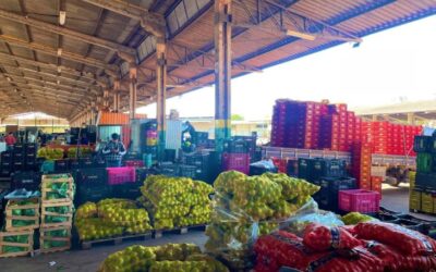 Mato Grosso do Sul amplia participação na Ceasa, com aumento de 18,78 % no volume comercializado