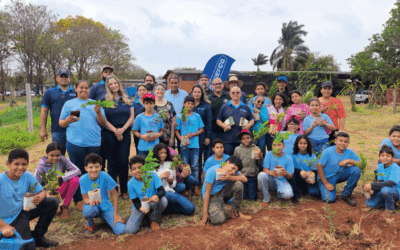 Em Campo Grande, estudantes plantam 60 mudas de árvores frutíferas