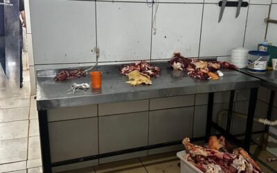 Dona de açougue é presa por vender carne de abate clandestino na Capital