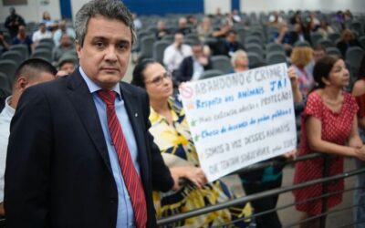 Landmark vota a favor de projeto e reforça compromisso com a causa animal na capital