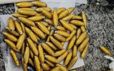 Boliviana morre em ônibus de MS após ingerir 78 cápsulas de cocaína