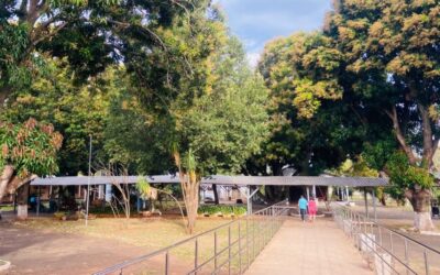 História do Asilo São João Bosco é retratada no programa Caminhos da Solidariedade