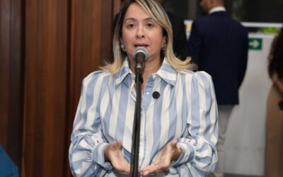 Evento cultural e declaração de utilidade pública são temas de projetos