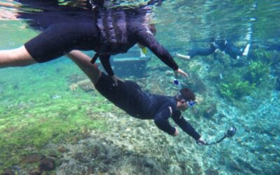 Turismo de MS participa da FITPAR 2025 para fortalecer presença no mercado paraguaio