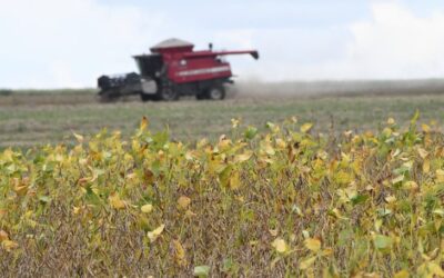 Começa plantio da maior safra de soja de Mato Grosso do Sul, com expectativa de colher 15 milhões de toneladas