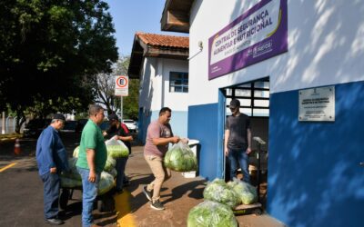 Entregas do PAA garantem alimentos e reforçam a renda de agricultores locais