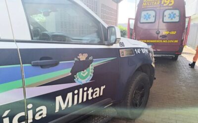 Edson morre após ataque de abelhas durante plantio de soja em MS