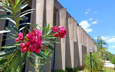 Destaque da semana é lançamento do cronograma de emendas parlamentares 2026