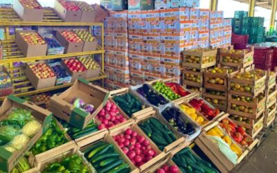 Ceasa de MS chega aos 46 anos conectando produtores e comerciantes, impulsionando a economia local