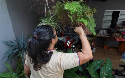 Contra o mosquito, todos do mesmo lado: Mato Grosso do Sul realiza ‘Dia D’ de Combate à Dengue