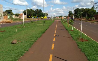 Campo Grande é destaque nacional em catálogo de ações climáticas urbanas