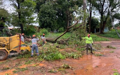 Prefeitura mobiliza equipes para limpar e desobstruir vias após chuva forte