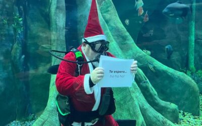 Bioparque Pantanal: programação especial de fim de ano terá Papai Noel Mergulhador