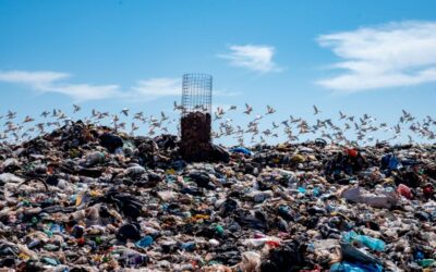 TCE-MS retoma trabalho técnico sobre gestão de resíduos sólidos nos municípios
