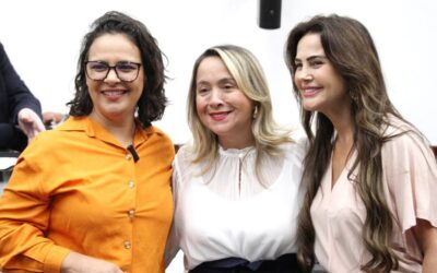 Combate à violência contra a mulher é prioridade na ALEMS