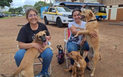 Caravana da Castração inicia os trabalhos de 2026 em Eldorado, na próxima quinta-feira