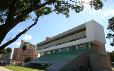 Prefeitura planeja espaços arborizados com espécies nativas