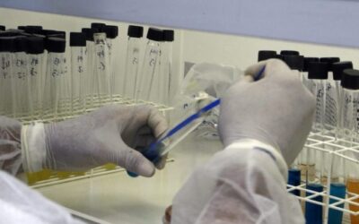 Lacen/MS recebe nota máxima em ensaios de proficiência e reforça excelência técnica