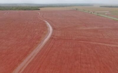 Com forte demanda do campo, FCO teve recorde de financiamentos no Estado em 2025