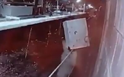 Passaportes de família que teve casa no Damha furtada são encontrados queimados em terreno baldio