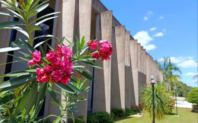 Prestação de contas e reunião para valorização do SUAS estão previstas
